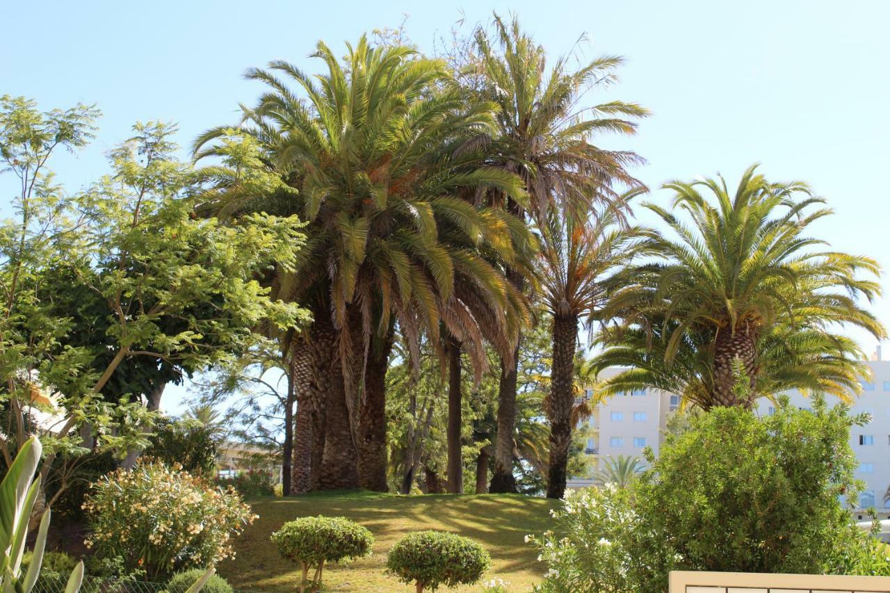 Vila Marachique Vl אלבור מראה חיצוני תמונה